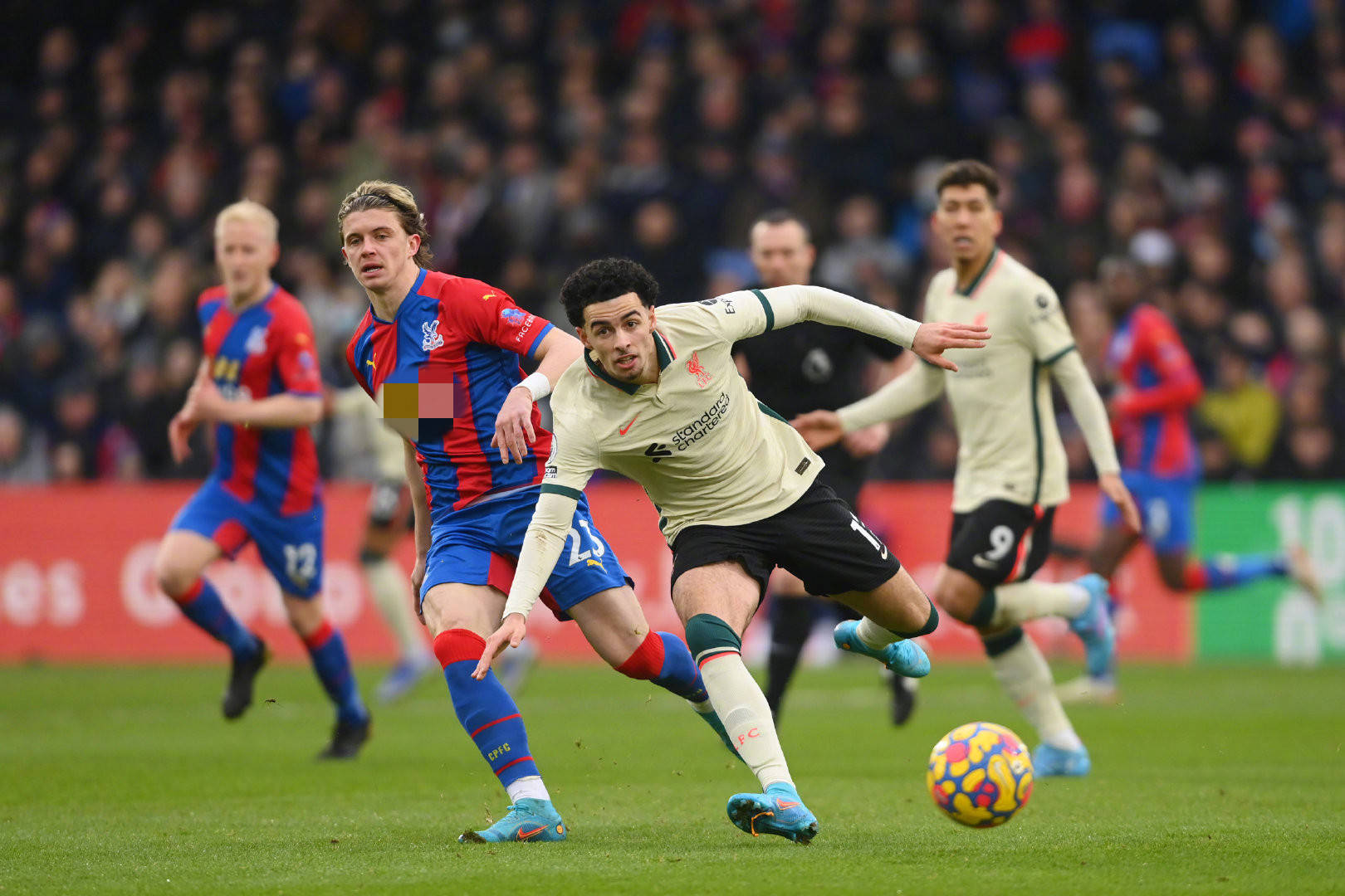 远发展打下 远发展打下